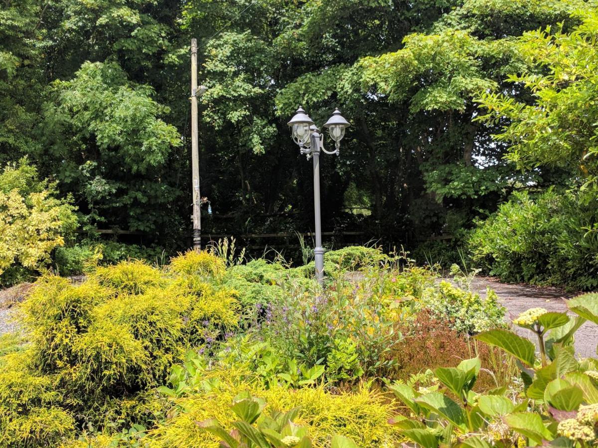 Lough Gara Lodge Self Catering Gorteen  Zewnętrze zdjęcie